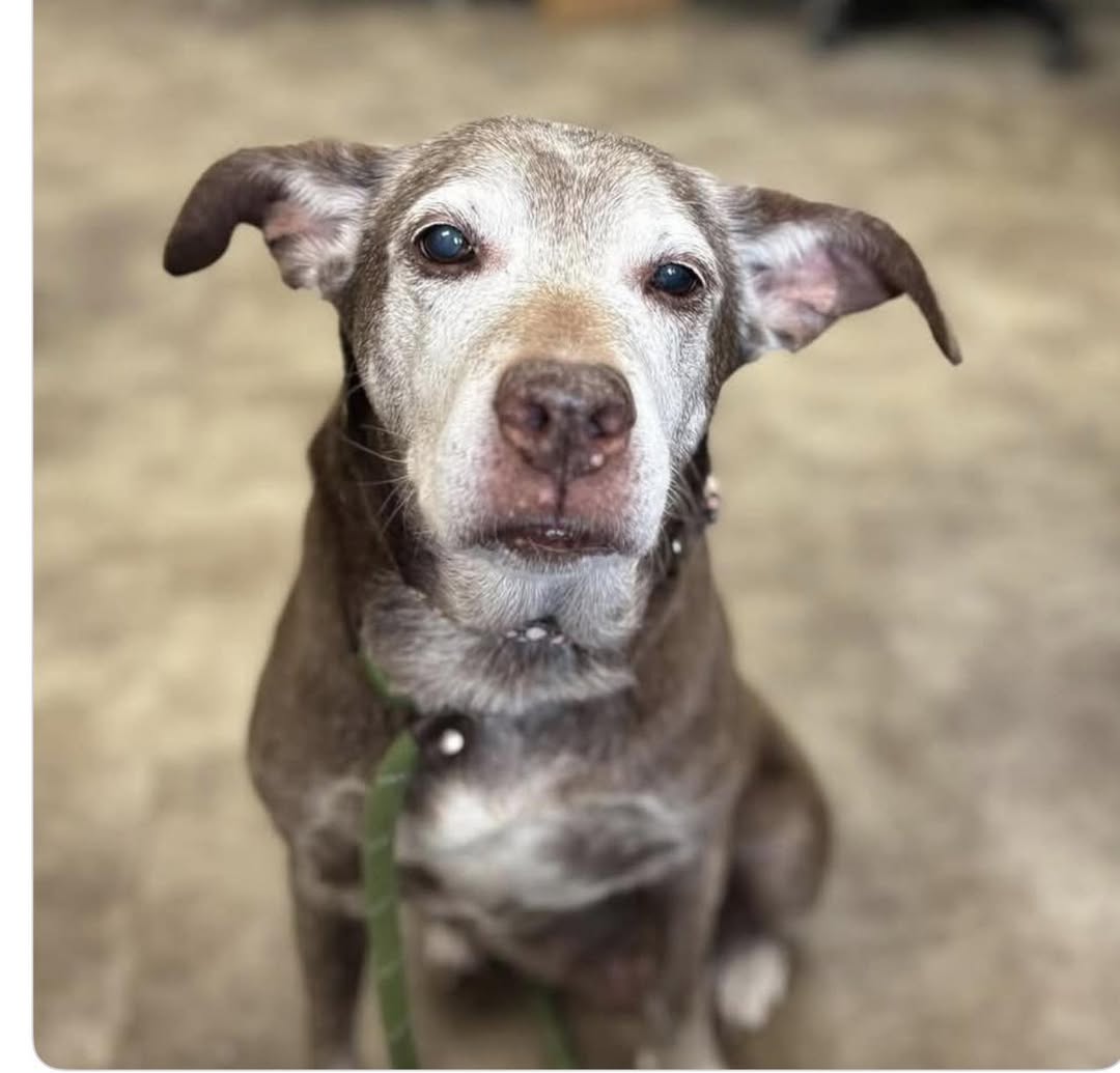 Please consider helping Mater