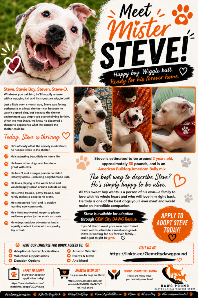 Steve's flyer
